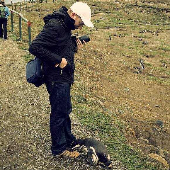 Meet your Posher, David - Picture 1 of 1